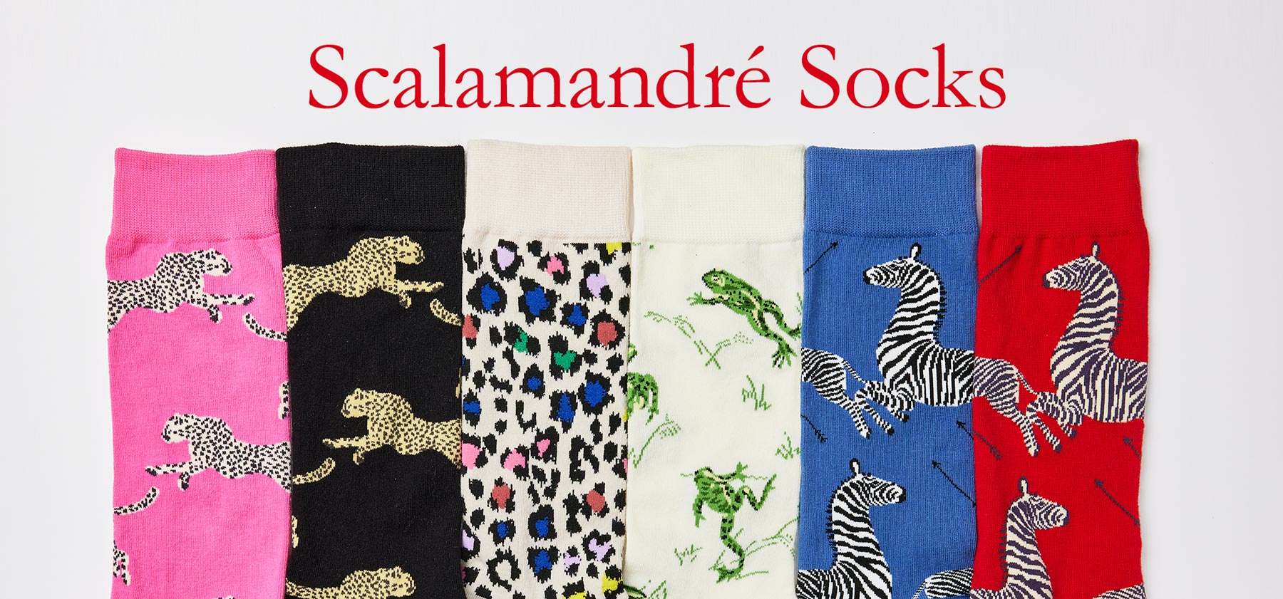Scalamandre Socks