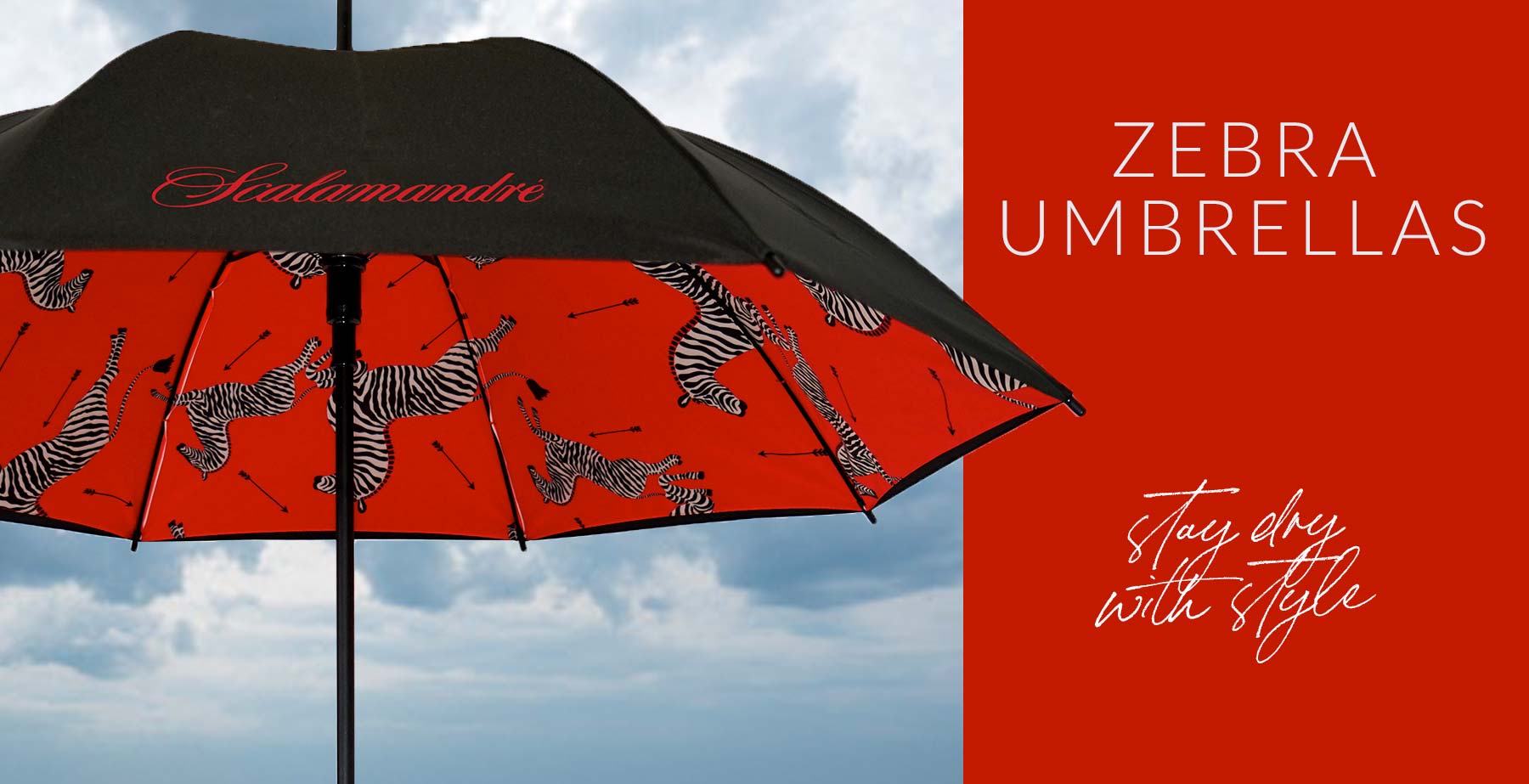 Zebras Umbrella