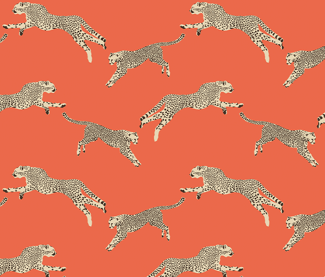 https://www.redfromscalamandre.com/pub/media/banners/leaping-cheetah-intro-4_02.gif